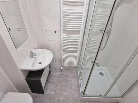 20240917_114544.jpg | Pronájem bytu, 1+kk, 35 m²