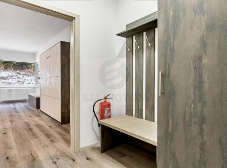 DSC05547_HDR.jpg | Pronájem bytu, 1+kk, 27 m²