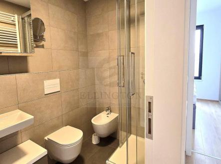 20250414_091838.jpg | Pronájem bytu, 2+kk, 59 m²