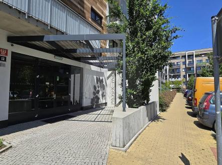 20250614_120448.jpg | Pronájem bytu, 1+kk, 30 m²