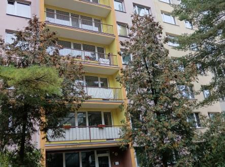 01 | Prodej bytu, 1+kk, 27 m²