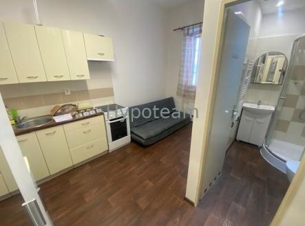 Pronájem bytu, garsoniéra, 19 m² obrázek