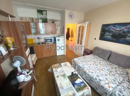 . | Pronájem bytu, garsoniéra, 19 m²