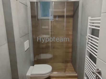 koupelna  | Pronájem bytu, 3+1, 60 m²
