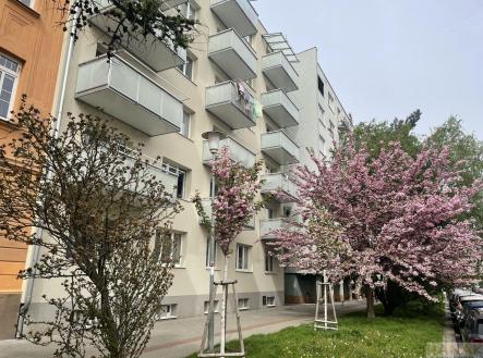 Pronájem bytu, 2+1, 56 m²