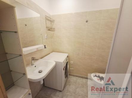 20260403-104123.jpg | Pronájem bytu, 1+1, 403 m²