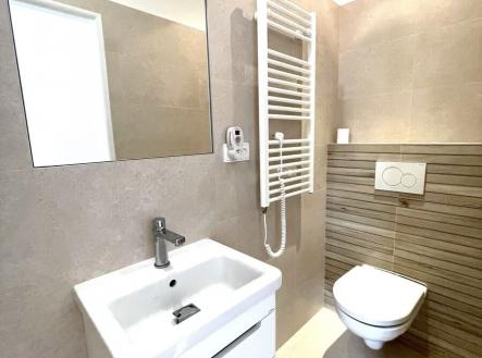 a22798fa-f8ff-459e-9b11-07dd6399d183.jpg | Pronájem bytu, 1+kk, 26 m²