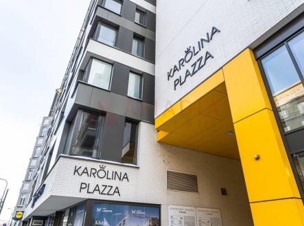. | Pronájem - kanceláře, 250 m²