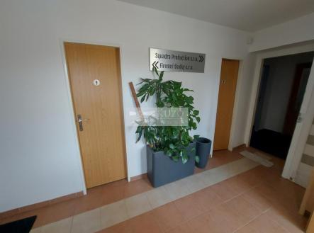 Pronájem - kanceláře, 11 m²