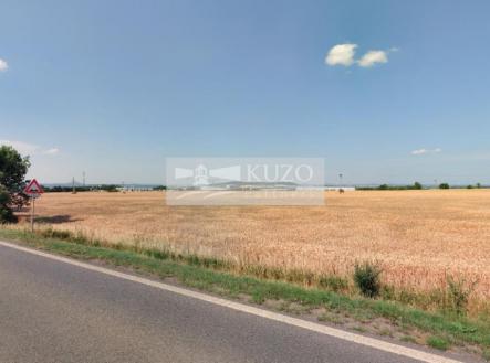 Prodej - pozemek, zemědělská půda, 74 999 m²