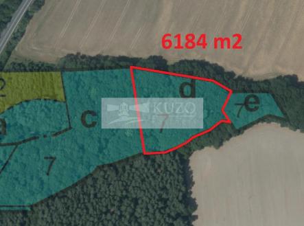 porostová mapa | Prodej - pozemek, les, 6 184 m²