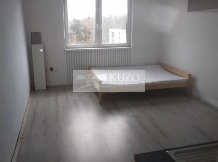 286826618-870718443782622-6867786407963725986-n.jpg | Pronájem bytu, 1+kk, 25 m²