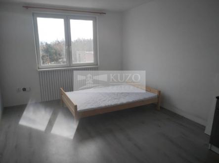 286597083-2315667101930965-8984230610160717604-n.jpg | Pronájem bytu, 1+kk, 25 m²