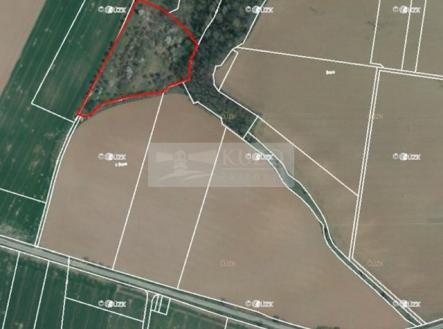 kn-sad.jpg | Prodej - pozemek, ostatní, 11 900 m²