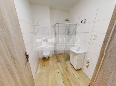 pronajem-1kk-primare-vaclava-trnky-11212022-174627.jpg | Pronájem bytu, 1+kk, 43 m²