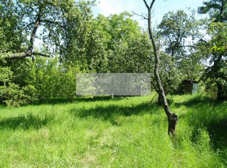 p1010952-1.jpg | Prodej - pozemek pro bydlení, 1 635 m²