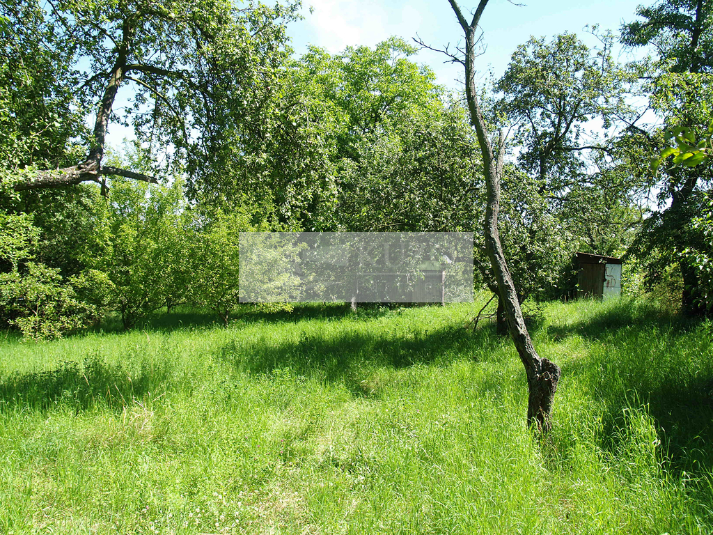 p1010952-1.jpg