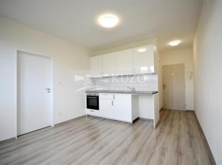 dsc0701.jpg | Pronájem bytu, 1+1, 35 m²