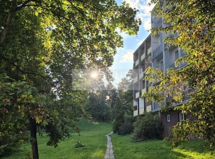 20250929-171215.jpg | Prodej bytu, 4+1, 100 m²