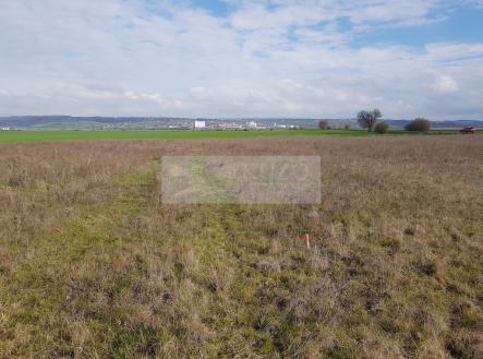 20250401-093634.jpg | Prodej - pozemek pro bydlení, 806 m²