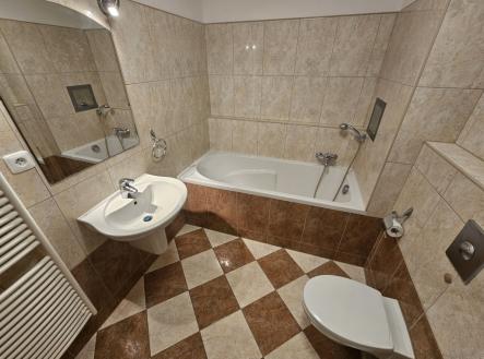 3a.jpg | Pronájem bytu, 1+kk, 41 m²