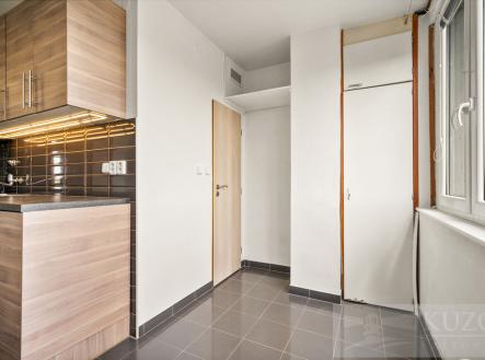 terezi-brzkove-2-1-16.jpg | Pronájem bytu, 2+1, 68 m²