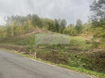 cd02.jpg | Prodej - pozemek, les, 17 012 m²