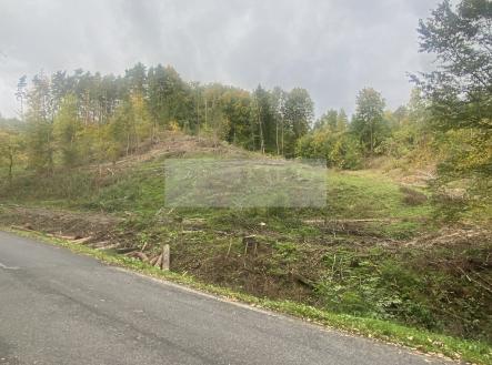 img-8534.jpeg | Prodej - pozemek, les, 17 012 m²