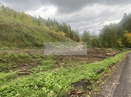 cd01.jpg | Prodej - pozemek, les, 17 012 m²