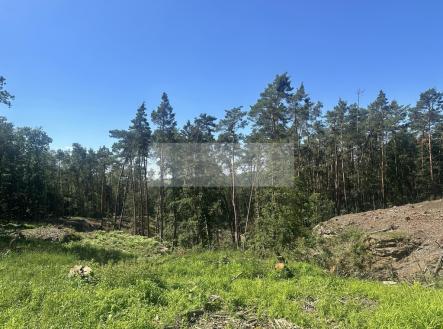 img-2026.jpg | Prodej - pozemek, les, 27 933 m²