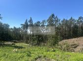 Prodej - pozemek, les, 27 933 m²