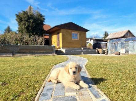 generated-image-february-27-2026-12-13pm.png | Prodej - chata/rekreační objekt, 21 m²