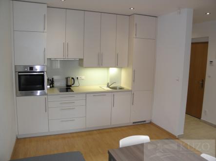 manes-025.jpg | Pronájem bytu, 2+1, 65 m²