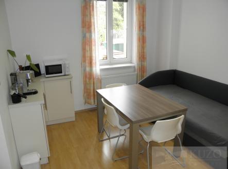 manes-032.jpg | Pronájem bytu, 2+1, 65 m²