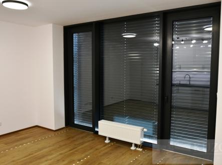 33.jpg | Pronájem bytu, 1+kk, 40 m²