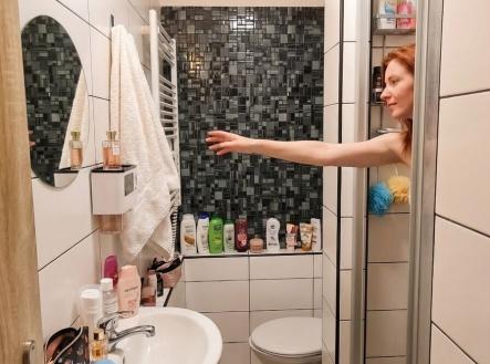 generated-image-december-22-2025-1-13pm.jpeg | Pronájem bytu, 1+kk, 30 m²