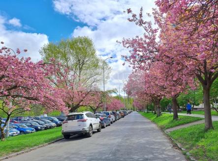 20260420-112157-1.jpg | Pronájem bytu, 1+kk, 25 m²