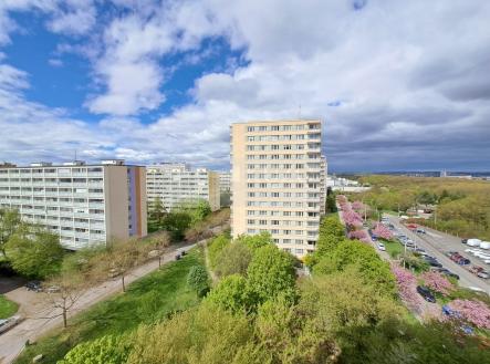 20260420-113446.jpg | Pronájem bytu, 1+kk, 25 m²