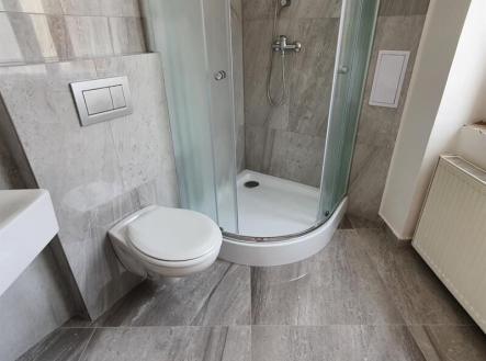 3.jpg | Pronájem bytu, 1+kk, 30 m²
