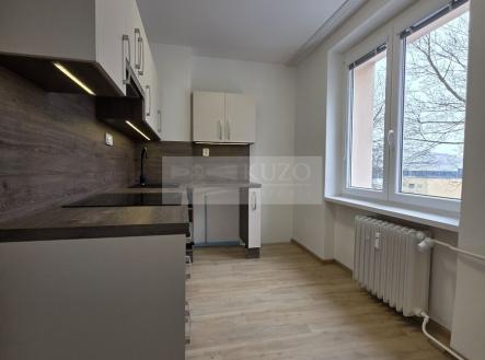 img-20260209-wa0059.jpg | Pronájem bytu, 2+1, 51 m²