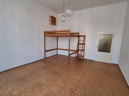 20250513_163136.jpg | Pronájem bytu, 1+1, 42 m²