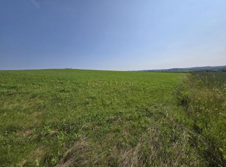 20250612_101819.jpg | Prodej - pozemek, zemědělská půda, 39 175 m²