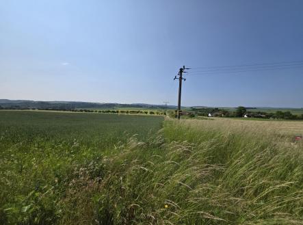 20250612_101826.jpg | Prodej - pozemek, zemědělská půda, 39 175 m²
