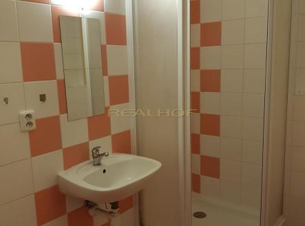 5.jpg | Pronájem bytu, 1+kk, 29 m²