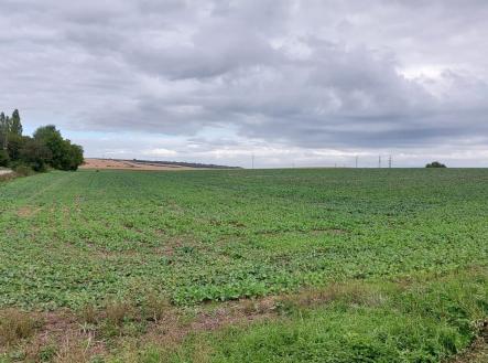 . | Prodej - pozemek pro komerční výstavbu, 25 000 m²