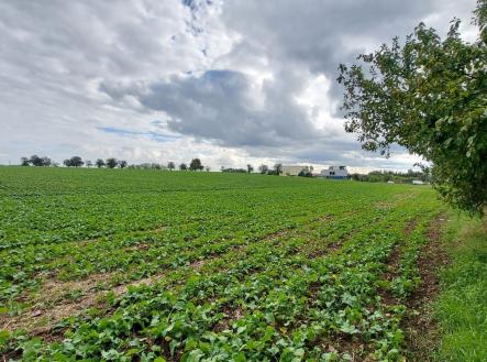 . | Prodej - pozemek pro komerční výstavbu, 25 000 m²