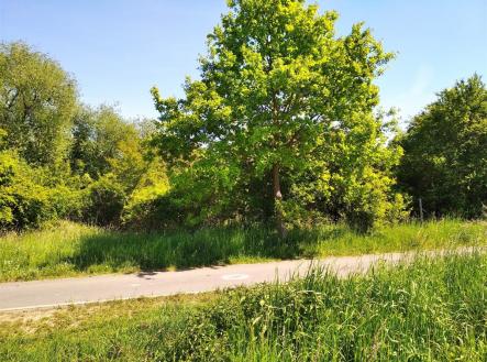 . | Prodej - pozemek pro bydlení, 4 702 m²