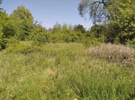 . | Prodej - pozemek pro bydlení, 4 702 m²