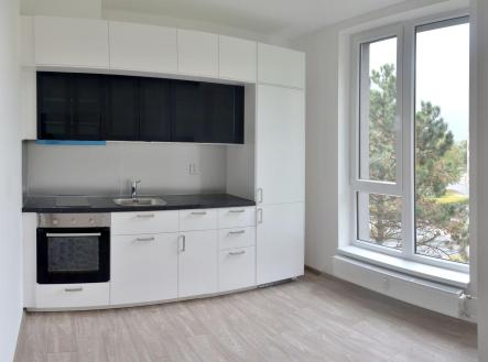Pronájem bytu, 1+1, 34 m² obrázek