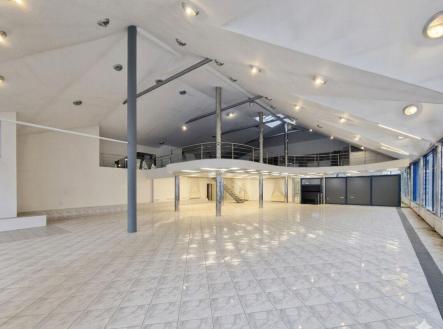 Pronájem - obchodní prostor, 300 m²